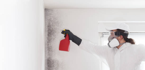 Holden, MO Mold Remediation Company